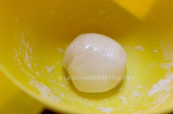 Tang Yuan La kitchenette de Miss Tam 2
